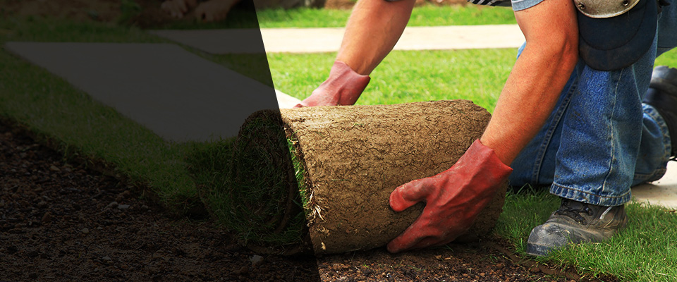 Cuba City Landscapers